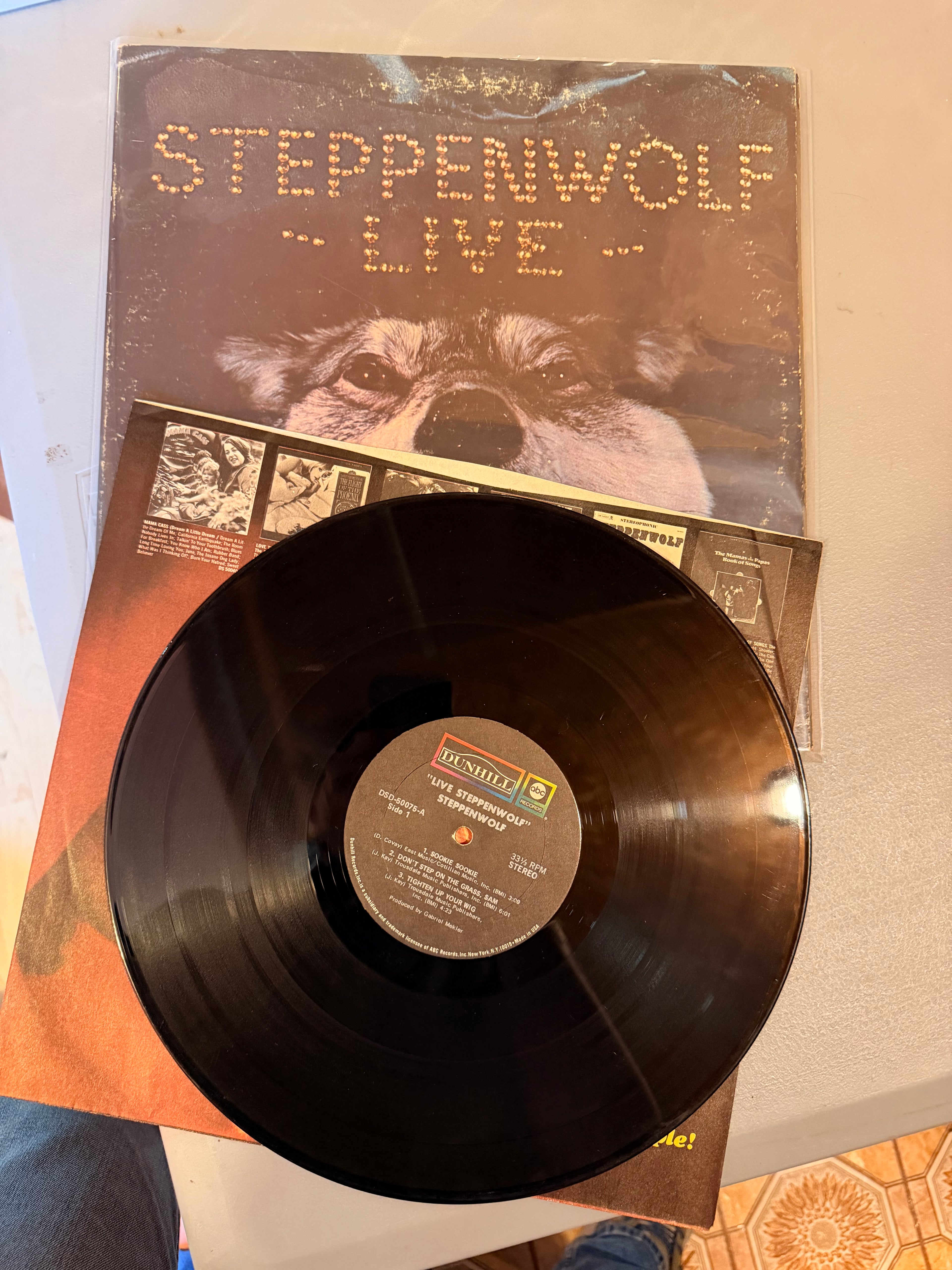 Steppenwolf 5 record lot