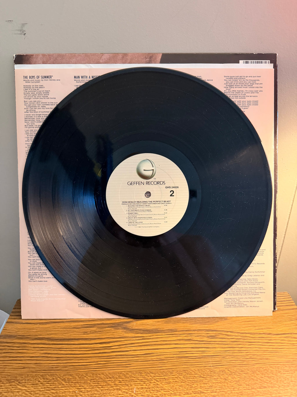 Don Henley “Building The Perfect Beast”