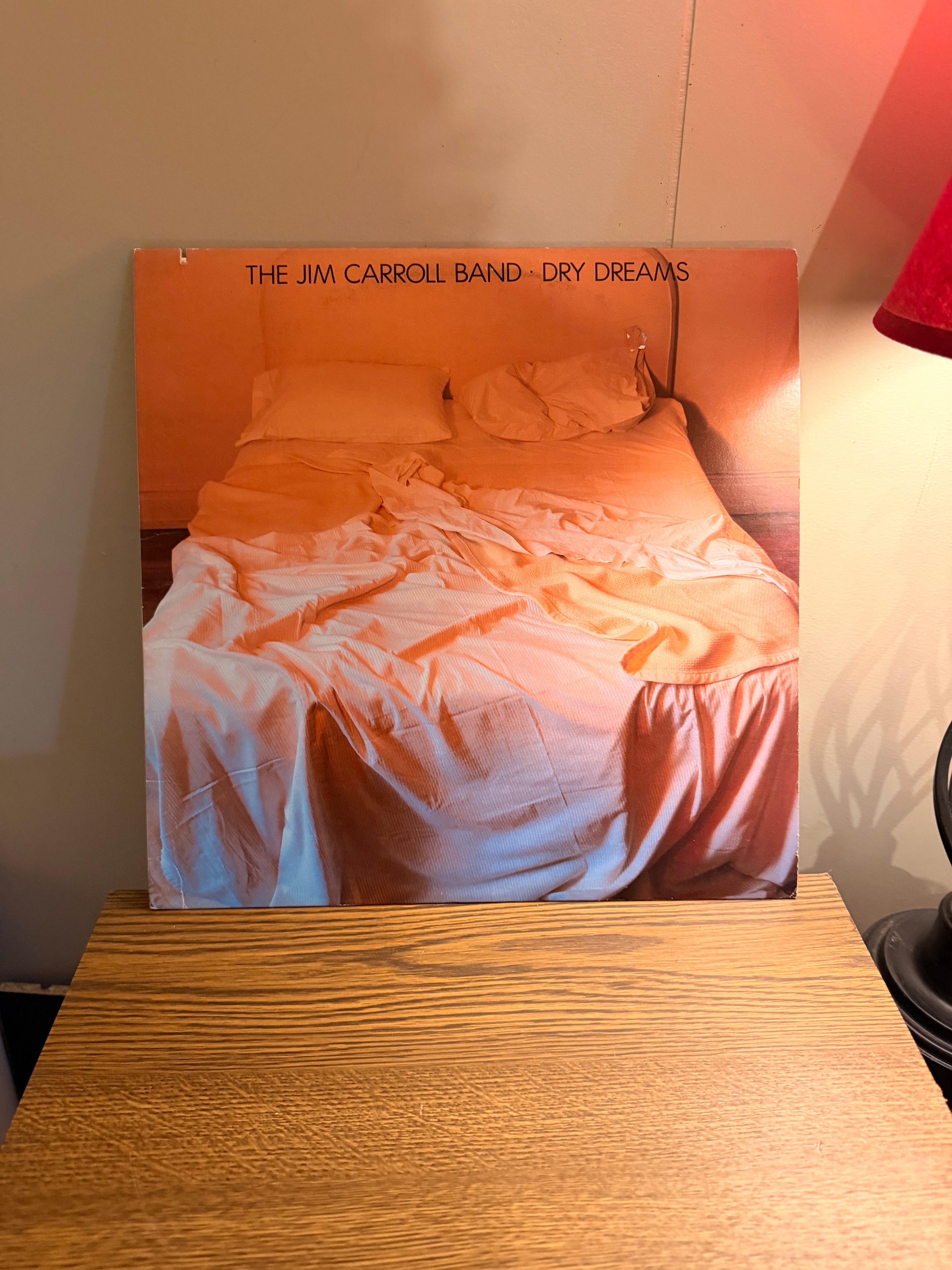 The Jim Carroll Band - Dry Dreams