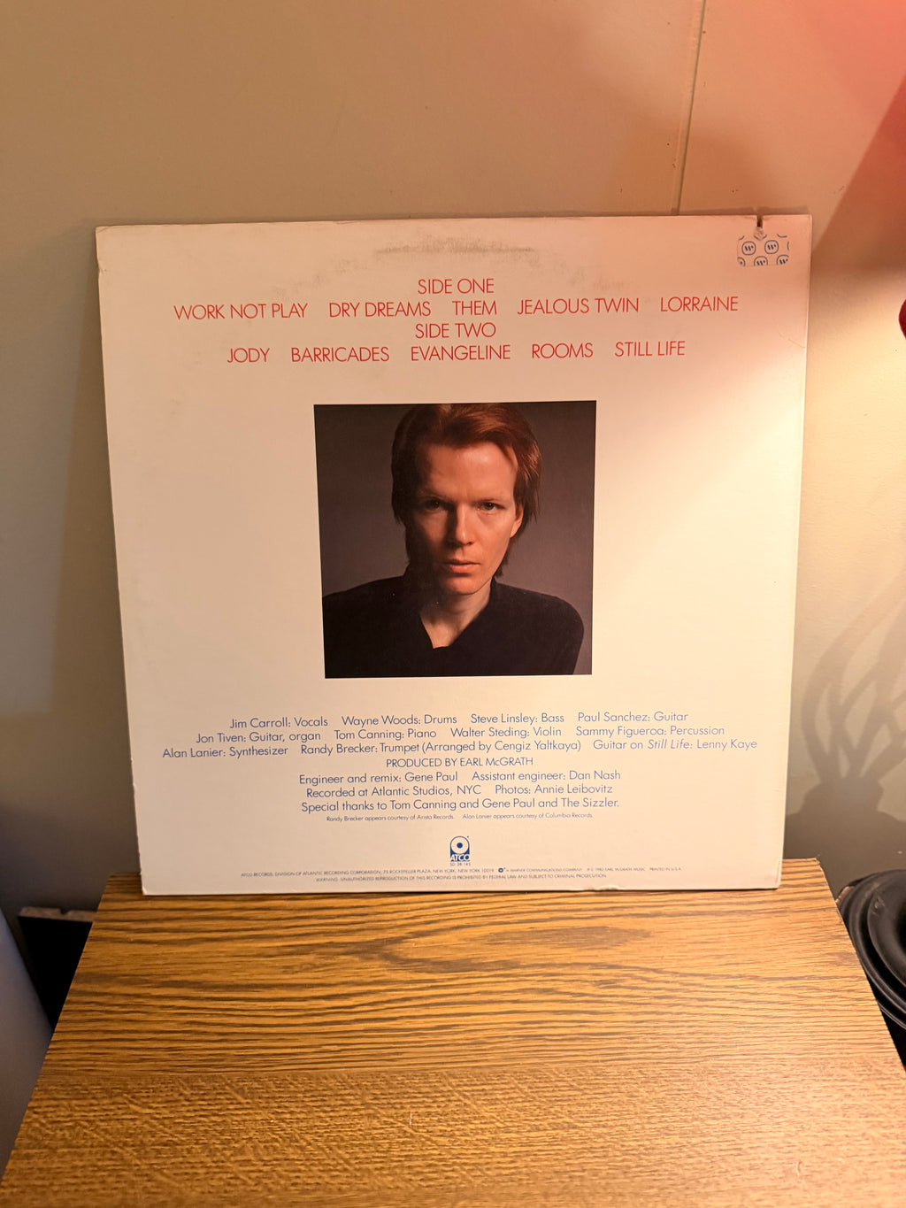 The Jim Carroll Band - Dry Dreams