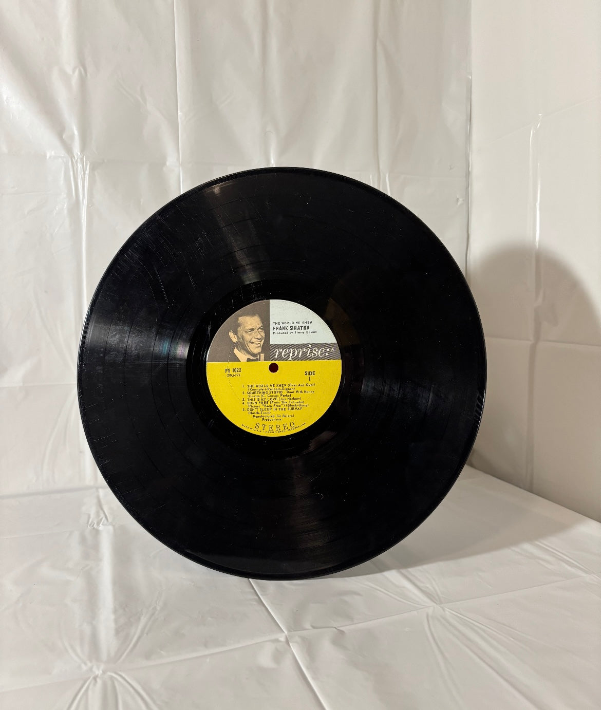 Frank Sinatra “something stupid”