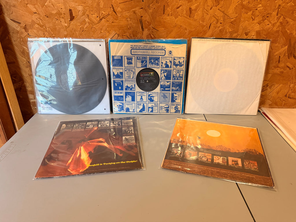 Steppenwolf 5 record lot